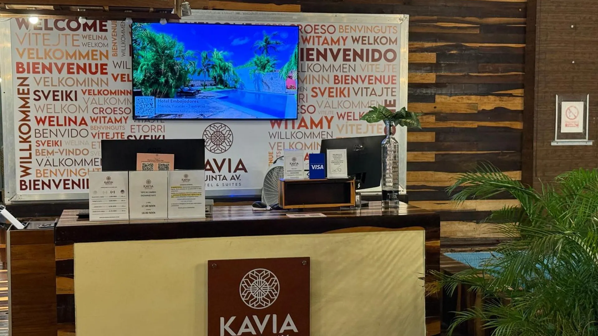 Hotel Kavia 5Th Avenida (Adults Only) Playa del Carmen