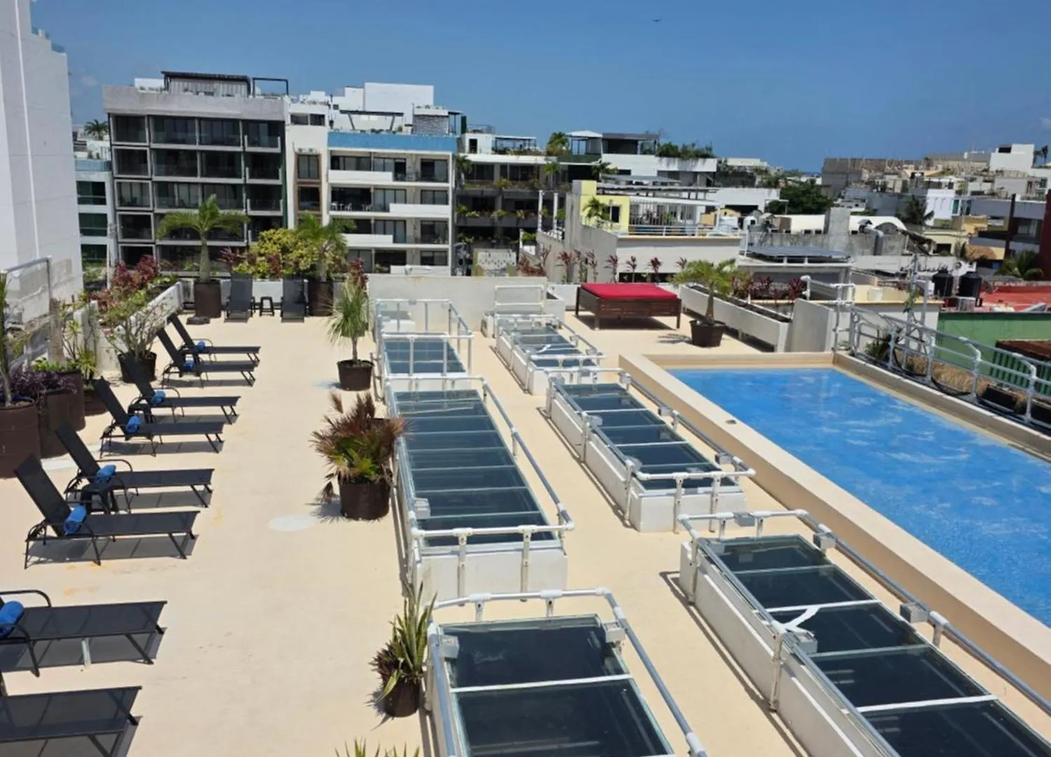 Hotel Kavia 5Th Avenida (Adults Only) Playa del Carmen 4*,