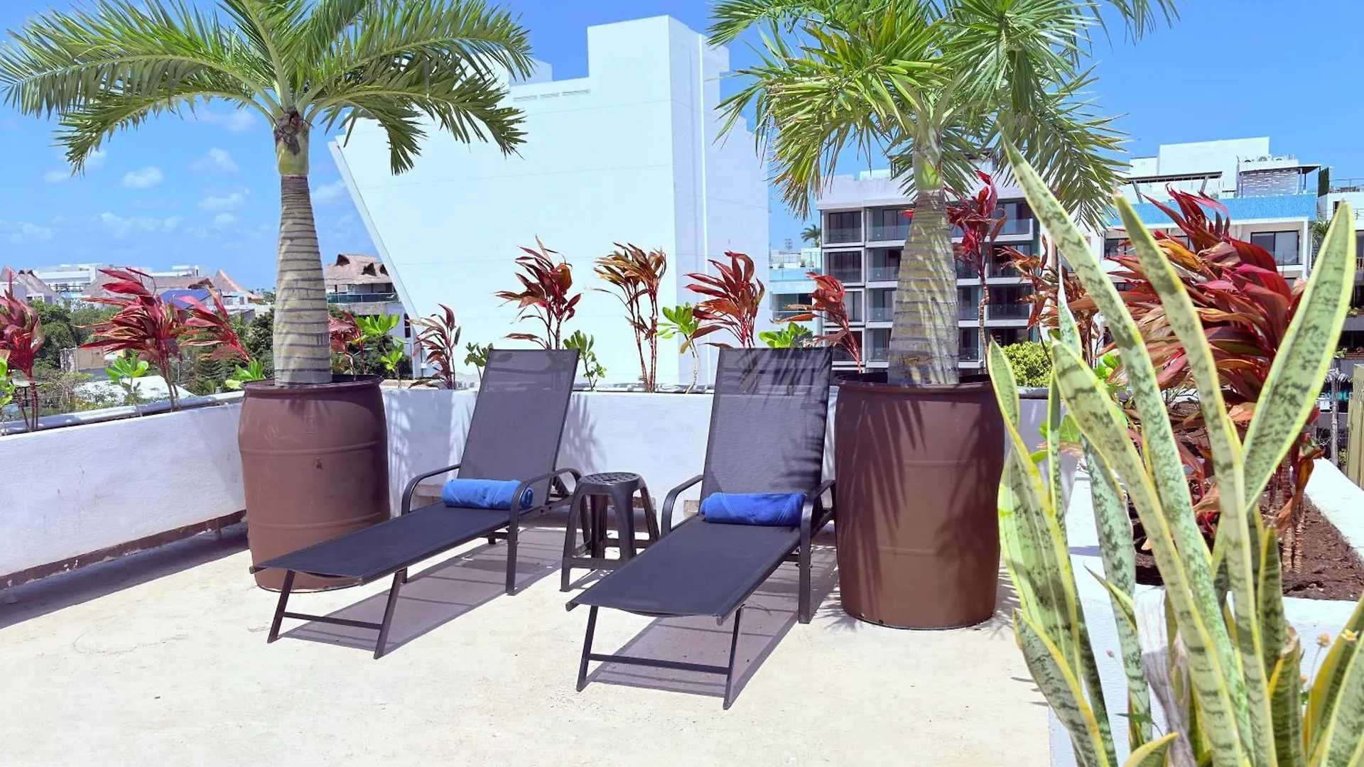 Hotel Kavia 5Th Avenida (Adults Only) Playa del Carmen 4*,  Mexikó