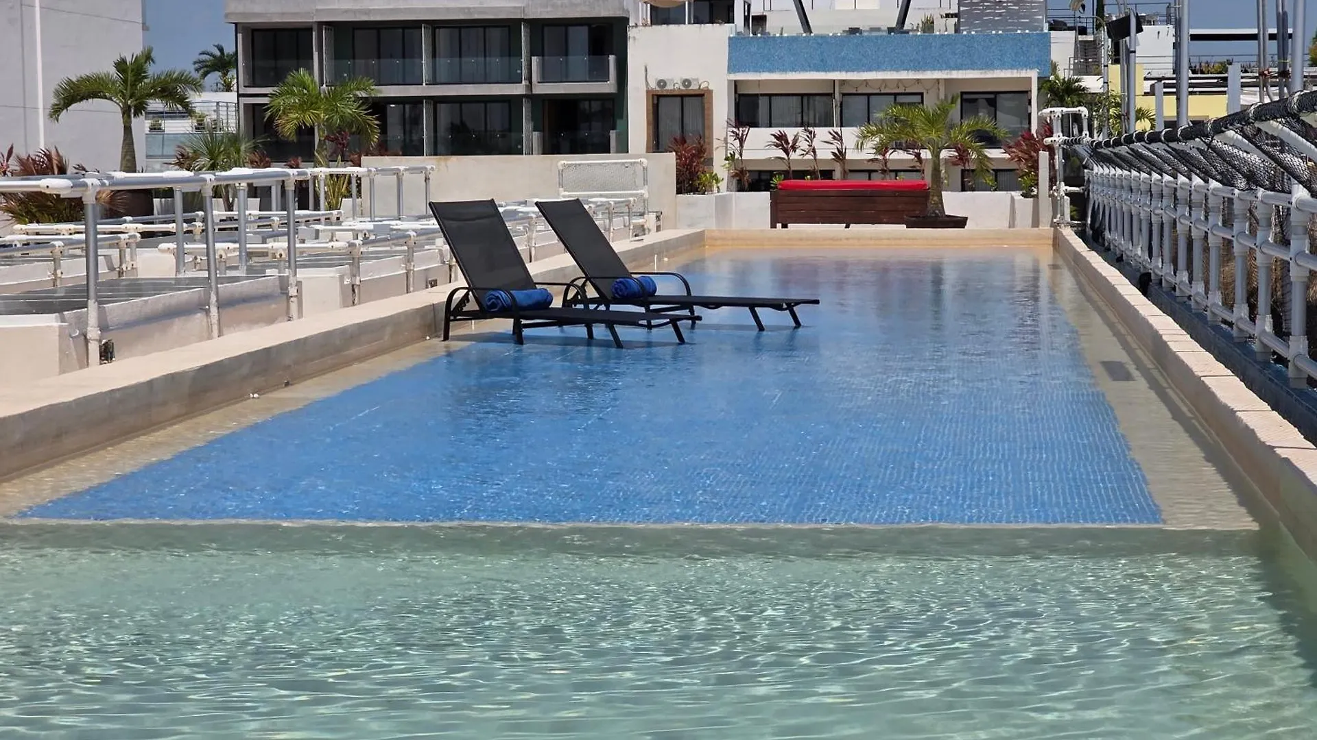 Hotel Kavia 5Th Avenida (Adults Only) Playa del Carmen 4*,